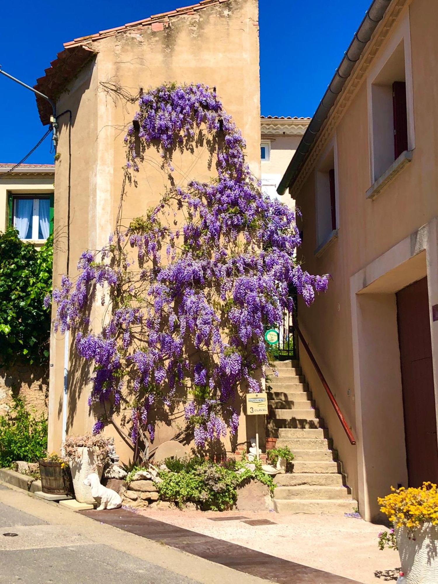 Maison Du Midi, 2 Gites De Charme Ginestas Exteriör bild