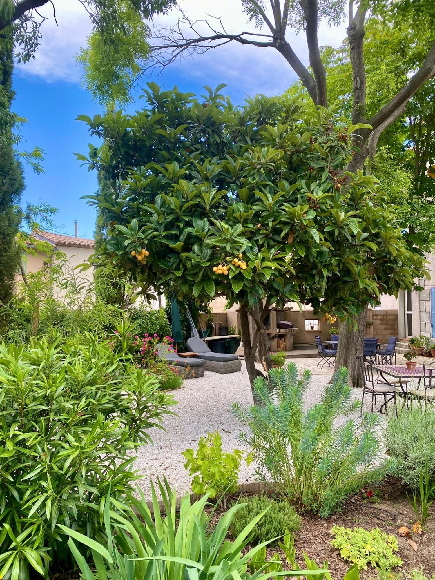 Maison Du Midi, 2 Gites De Charme Ginestas Exteriör bild